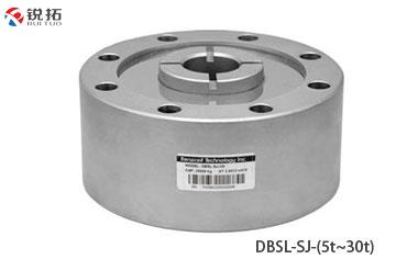 DBSL-SJ-(5t~30t)美国Transcell传力轮辐式称重传感器