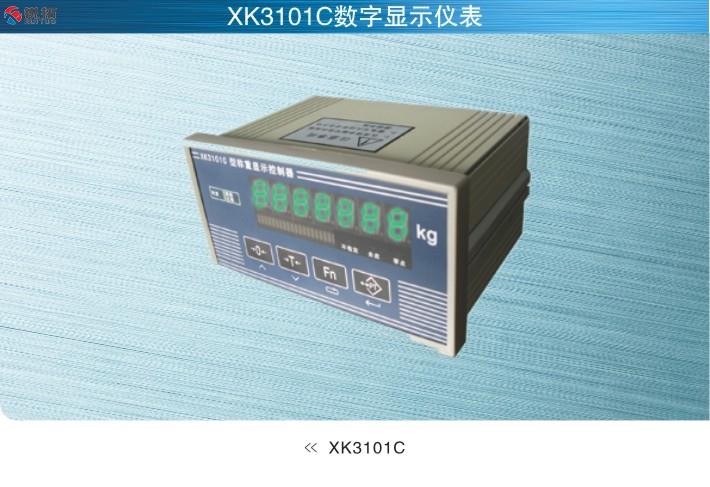 美国MkCells XK3101C数字仪表