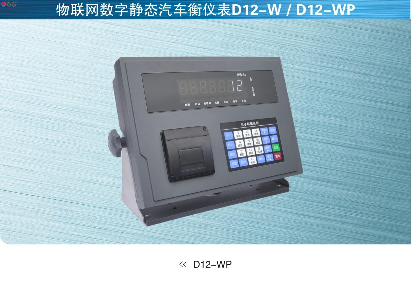 英国OAP D12-W和D12-WP数字汽车衡仪表