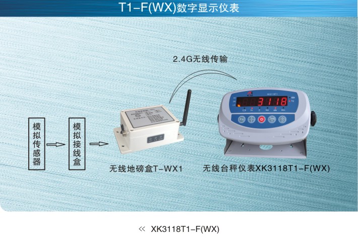 美国SunCells XK3118T1-F(WX)无线数字仪表