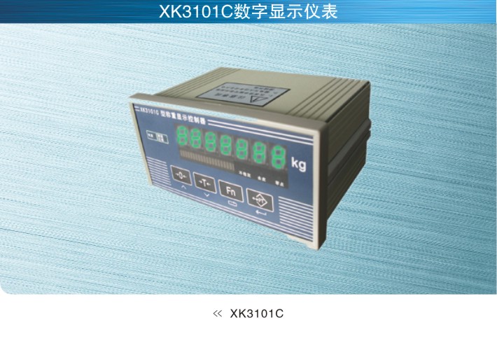 美国SunCells XK3101C数字仪表
