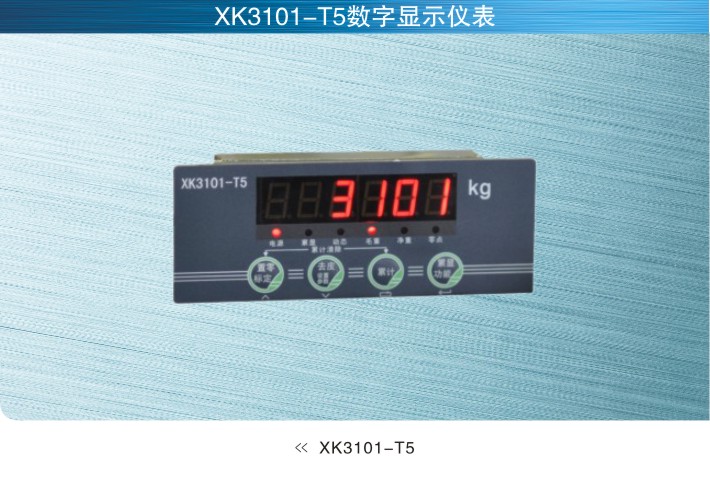 美国MkCells XK3101-T5数字仪表