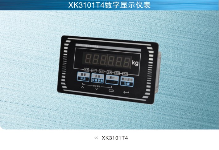 美国SunCells XK3101T4数字仪表