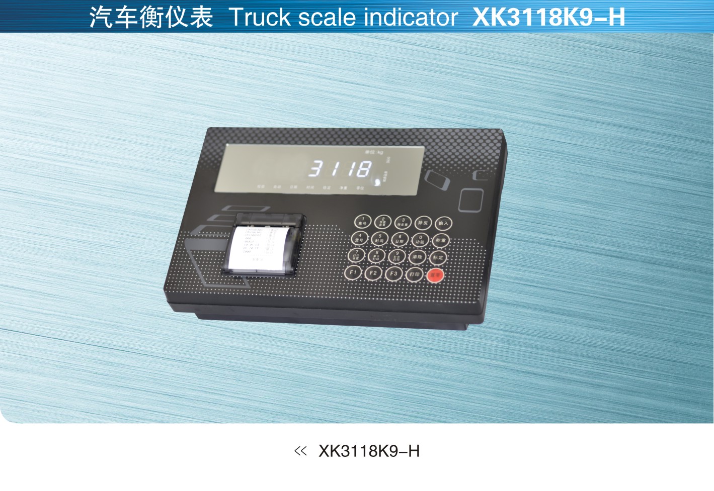 美国SunCells XK3118K9-H汽车衡仪表
