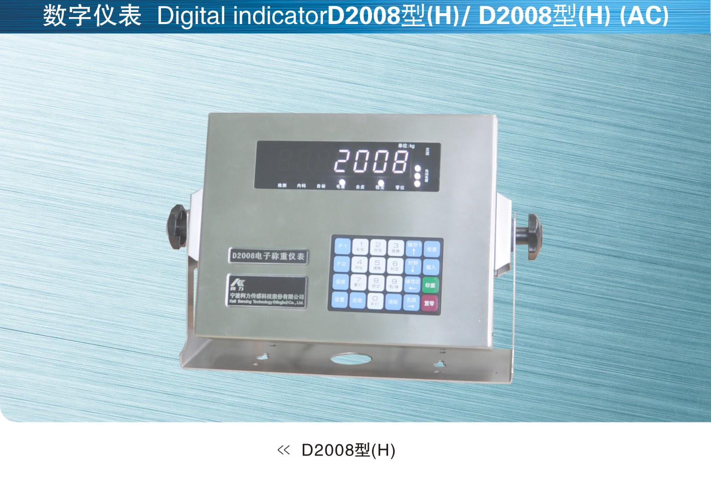 美国SunCells D2008型(H)数字仪表