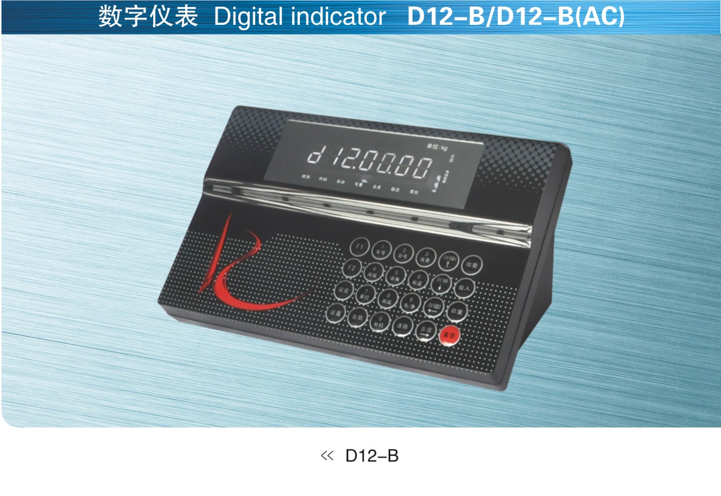 美国SunCells D12-B+数字仪表