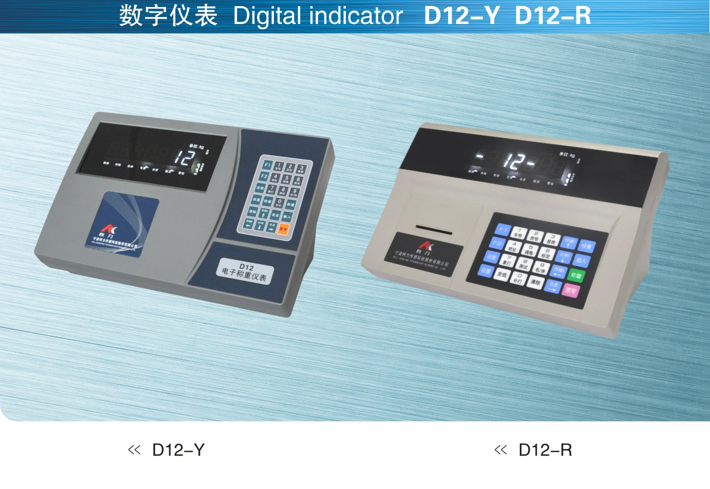 美国SunCells D12-Y+和D12-R+数字仪表