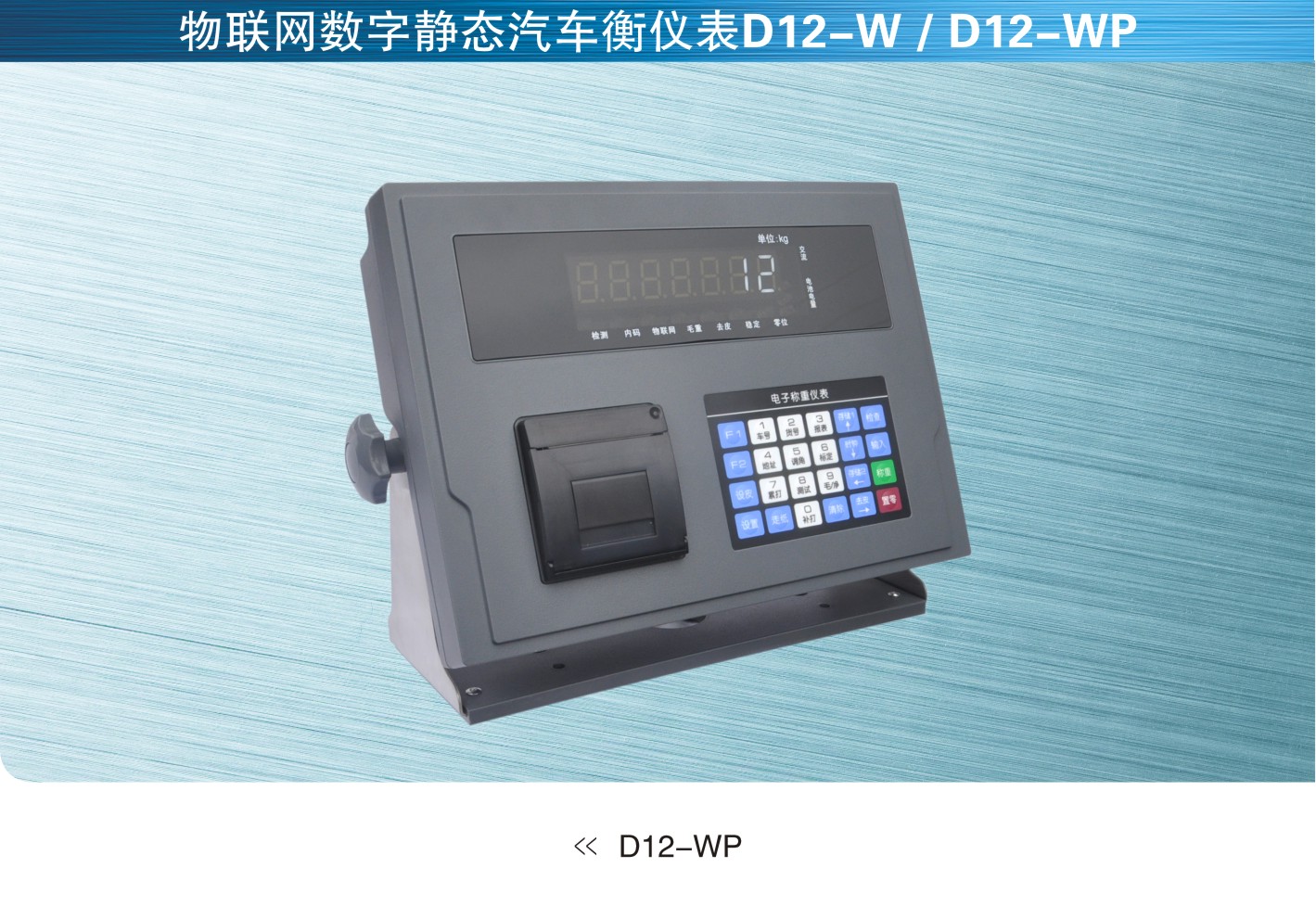柯力keli D12-W和D12-WP数字汽车衡仪表