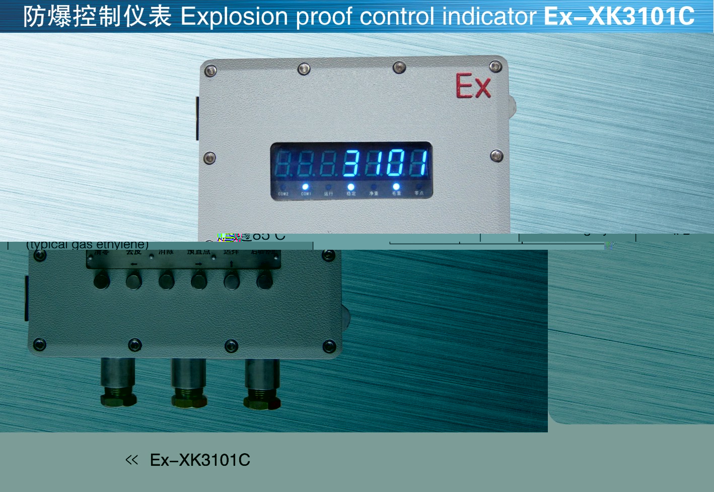 英国OAP Ex-XK3101C(型号含DC24V)防爆称重仪表